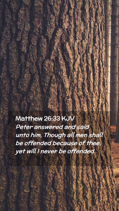 Picture 02 - Matthew 26:33 KJV Mobile Phone Wallpaper - Peter answered and said unto him, Though all men - Mobile Bible Verse Wallpaper