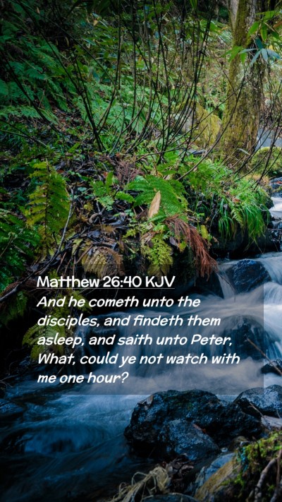 Picture 02 - Matthew 26:40 KJV Mobile Phone Wallpaper - And he cometh unto the disciples, and findeth - Mobile Bible Verse Wallpaper