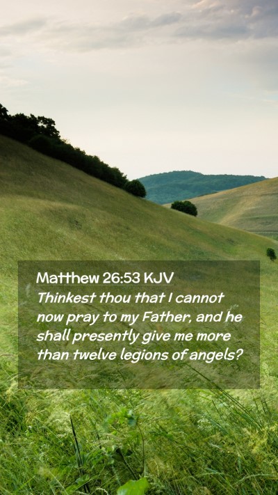 Picture 02 - Matthew 26:53 KJV Mobile Phone Wallpaper - Thinkest thou that I cannot now pray to my - Mobile Bible Verse Wallpaper