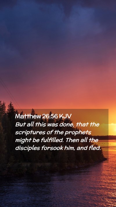Picture 02 - Matthew 26:56 KJV Mobile Phone Wallpaper - But all this was done, that the scriptures of the - Mobile Bible Verse Wallpaper