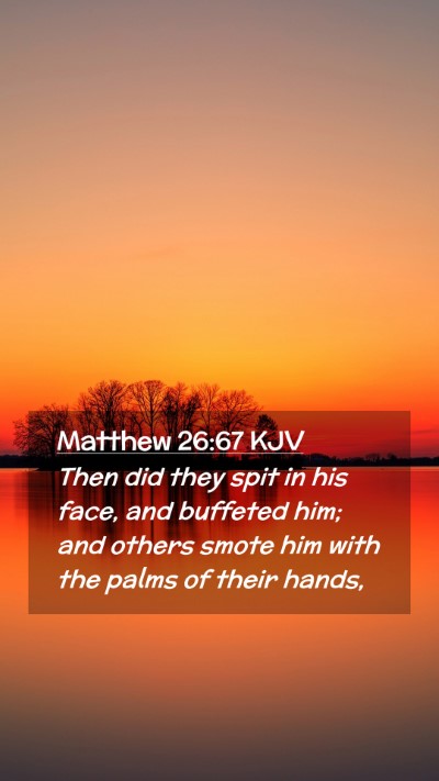 Picture 02 - Matthew 26:67 KJV Mobile Phone Wallpaper - Then did they spit in his face, and buffeted him; - Mobile Bible Verse Wallpaper