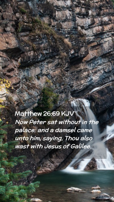 Picture 02 - Matthew 26:69 KJV Mobile Phone Wallpaper - Now Peter sat without in the palace: and a damsel - Mobile Bible Verse Wallpaper