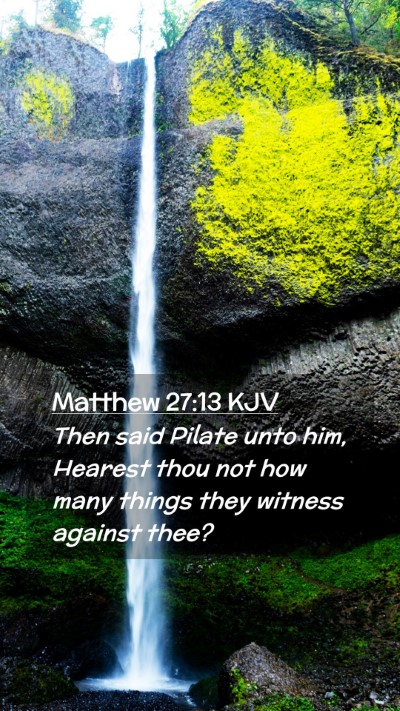 Picture 02 - Matthew 27:13 KJV Mobile Phone Wallpaper - Then said Pilate unto him, Hearest thou not how - Mobile Bible Verse Wallpaper