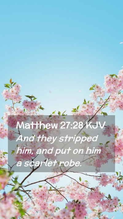 Picture 02 - Matthew 27:28 KJV Mobile Phone Wallpaper - And they stripped him, and put on him a scarlet - Mobile Bible Verse Wallpaper