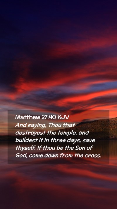 Picture 02 - Matthew 27:40 KJV Mobile Phone Wallpaper - And saying, Thou that destroyest the temple, and - Mobile Bible Verse Wallpaper