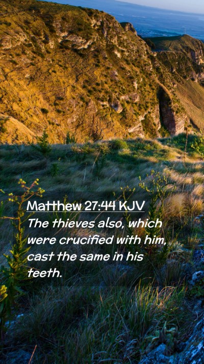 Picture 02 - Matthew 27:44 KJV Mobile Phone Wallpaper - The thieves also, which were crucified with him, - Mobile Bible Verse Wallpaper