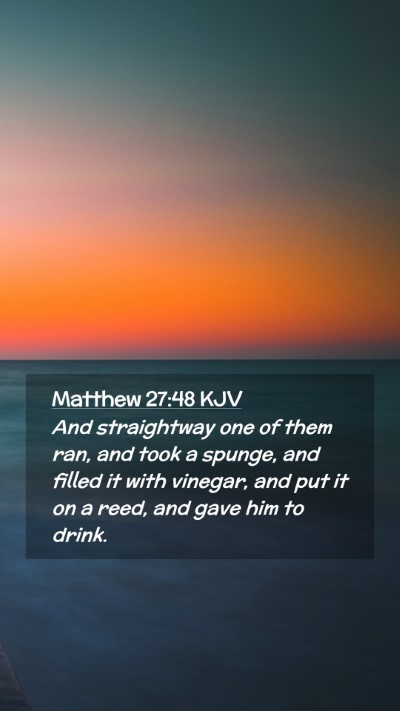 Picture 02 - Matthew 27:48 KJV Mobile Phone Wallpaper - And straightway one of them ran, and took a - Mobile Bible Verse Wallpaper
