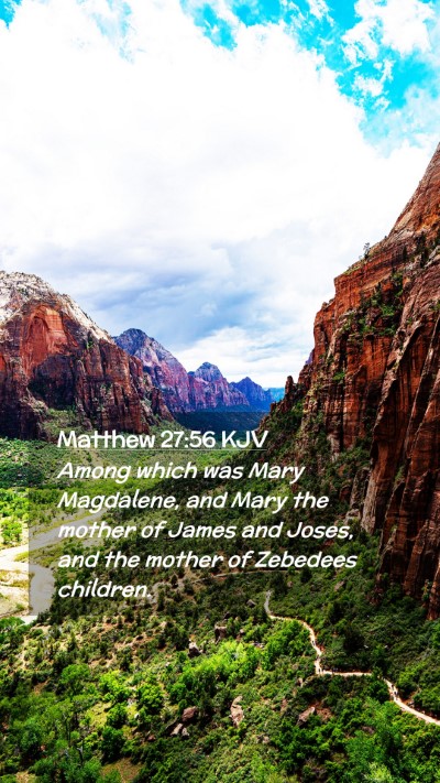 Picture 02 - Matthew 27:56 KJV Mobile Phone Wallpaper - Among which was Mary Magdalene, and Mary the - Mobile Bible Verse Wallpaper