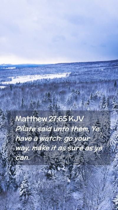 Picture 02 - Matthew 27:65 KJV Mobile Phone Wallpaper - Pilate said unto them, Ye have a watch: go your - Mobile Bible Verse Wallpaper