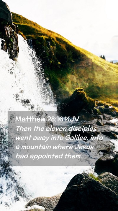 Picture 02 - Matthew 28:16 KJV Mobile Phone Wallpaper - Then the eleven disciples went away into Galilee, - Mobile Bible Verse Wallpaper