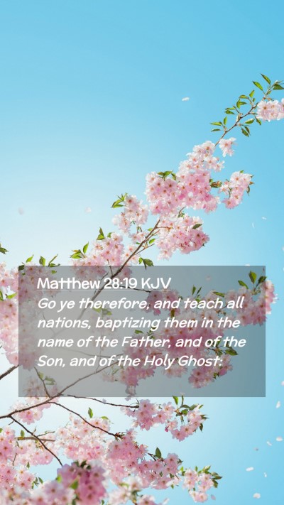 Picture 02 - Matthew 28:19 KJV Mobile Phone Wallpaper - Go ye therefore, and teach all nations, baptizing - Mobile Bible Verse Wallpaper
