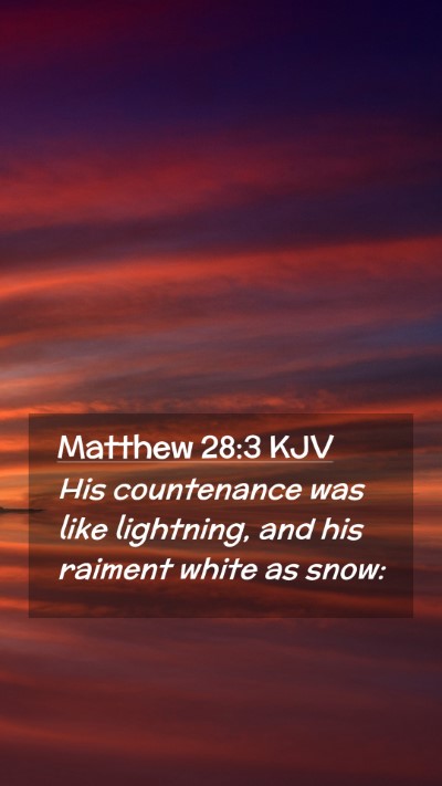Picture 02 - Matthew 28:3 KJV Mobile Phone Wallpaper - His countenance was like lightning, and his - Mobile Bible Verse Wallpaper