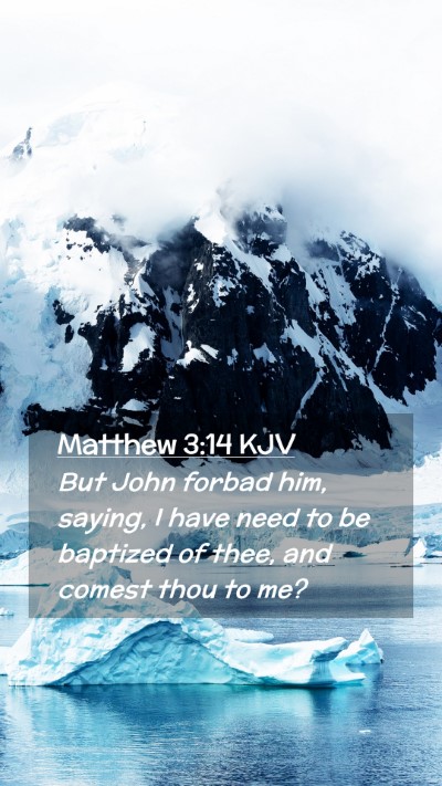 Picture 02 - Matthew 3:14 KJV Mobile Phone Wallpaper - But John forbad him, saying, I have need to be - Mobile Bible Verse Wallpaper