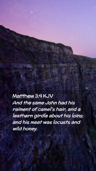 Picture 02 - Matthew 3:4 KJV Mobile Phone Wallpaper - And the same John had his raiment of camel's - Mobile Bible Verse Wallpaper