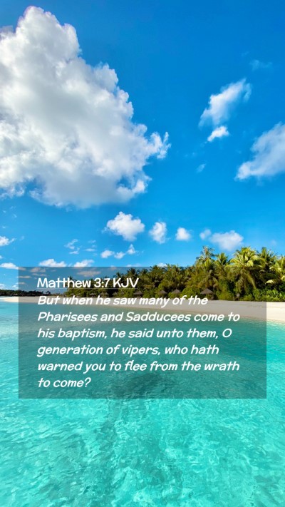 Picture 02 - Matthew 3:7 KJV Mobile Phone Wallpaper - But when he saw many of the Pharisees and - Mobile Bible Verse Wallpaper