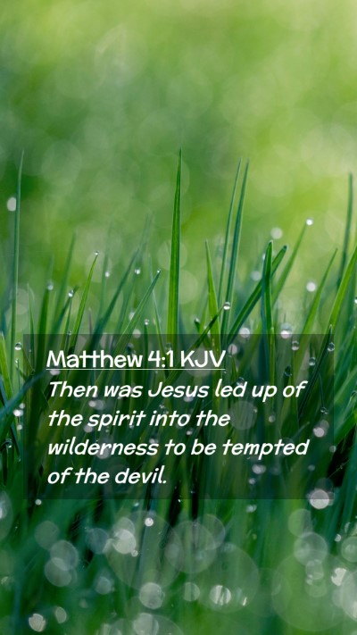 Picture 02 - Matthew 4:1 KJV Mobile Phone Wallpaper - Then was Jesus led up of the spirit into the - Mobile Bible Verse Wallpaper