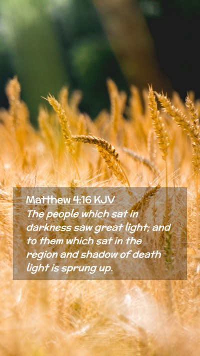 Picture 02 - Matthew 4:16 KJV Mobile Phone Wallpaper - The people which sat in darkness saw great light; - Mobile Bible Verse Wallpaper