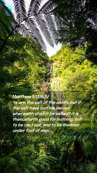 Picture 02 - Matthew 5:13 KJV Mobile Phone Wallpaper - Ye are the salt of the earth: but if the salt - Mobile Bible Verse Wallpaper