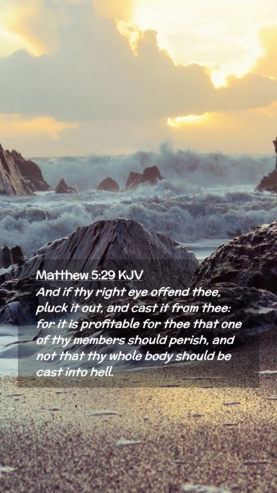 Picture 02 - Matthew 5:29 KJV Mobile Phone Wallpaper - And if thy right eye offend thee, pluck it out, - Mobile Bible Verse Wallpaper