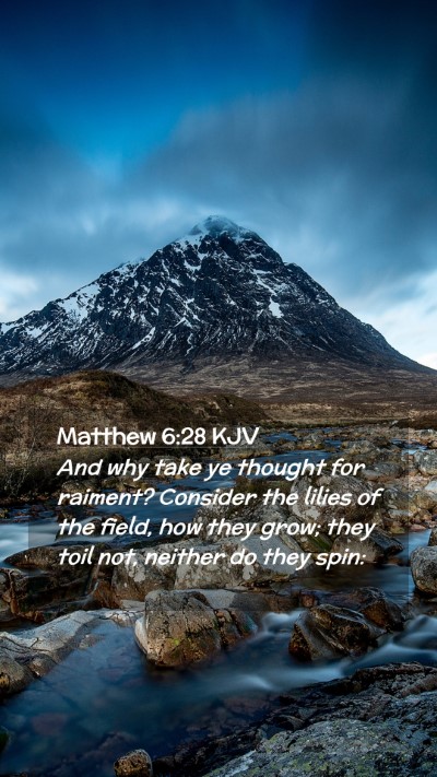 Picture 02 - Matthew 6:28 KJV Mobile Phone Wallpaper - And why take ye thought for raiment? Consider the - Mobile Bible Verse Wallpaper