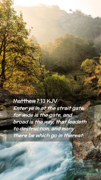 Picture 02 - Matthew 7:13 KJV Mobile Phone Wallpaper - Enter ye in at the strait gate: for wide is the - Mobile Bible Verse Wallpaper