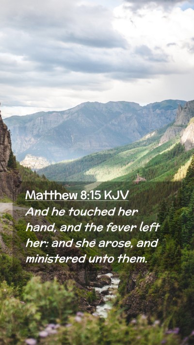 Picture 02 - Matthew 8:15 KJV Mobile Phone Wallpaper - And he touched her hand, and the fever left her: - Mobile Bible Verse Wallpaper