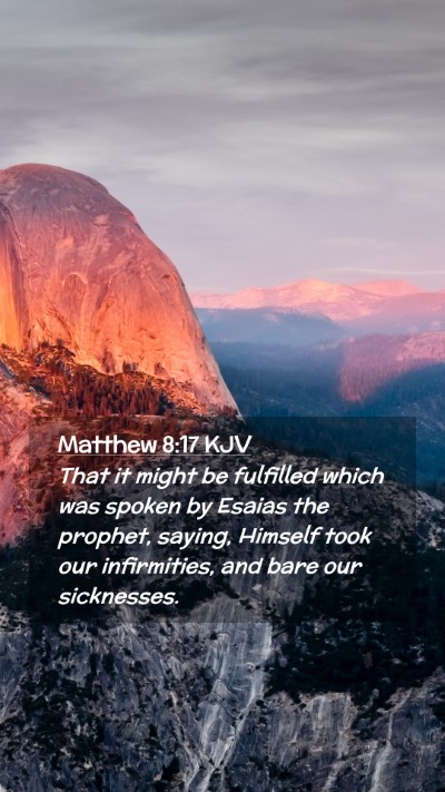 Picture 02 - Matthew 8:17 KJV Mobile Phone Wallpaper - That it might be fulfilled which was spoken by - Mobile Bible Verse Wallpaper