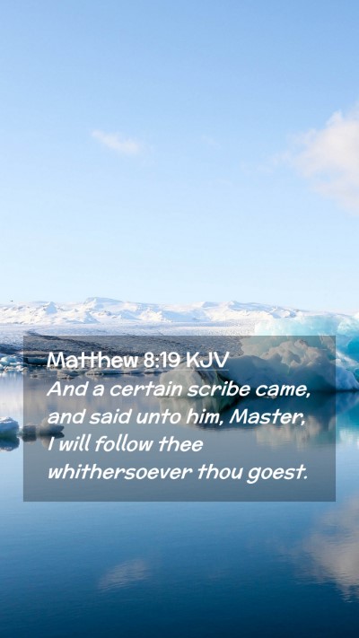 Picture 02 - Matthew 8:19 KJV Mobile Phone Wallpaper - And a certain scribe came, and said unto him, - Mobile Bible Verse Wallpaper