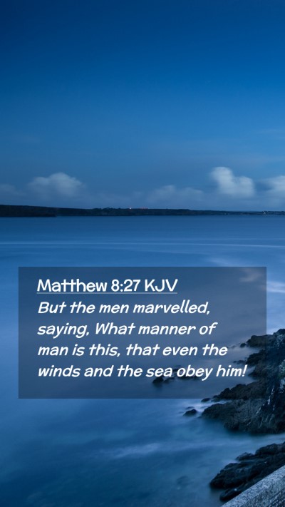 Picture 02 - Matthew 8:27 KJV Mobile Phone Wallpaper - But the men marvelled, saying, What manner of man - Mobile Bible Verse Wallpaper
