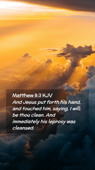 Picture 02 - Matthew 8:3 KJV Mobile Phone Wallpaper - And Jesus put forth his hand, and touched him, - Mobile Bible Verse Wallpaper
