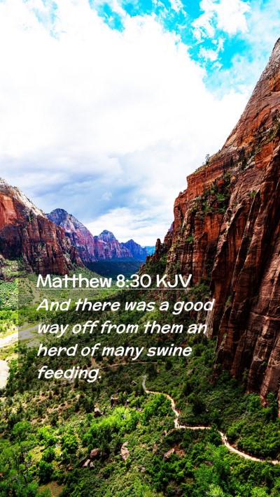 Picture 02 - Matthew 8:30 KJV Mobile Phone Wallpaper - And there was a good way off from them an herd of - Mobile Bible Verse Wallpaper