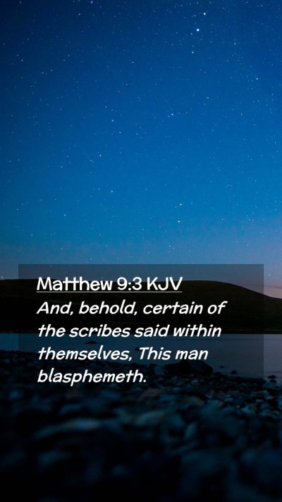 Picture 02 - Matthew 9:3 KJV Mobile Phone Wallpaper - And, behold, certain of the scribes said within - Mobile Bible Verse Wallpaper