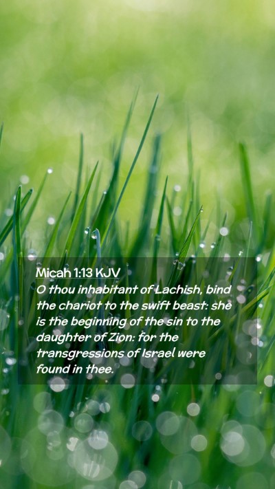 Picture 02 - Micah 1:13 KJV Mobile Phone Wallpaper - O thou inhabitant of Lachish, bind the chariot to - Mobile Bible Verse Wallpaper