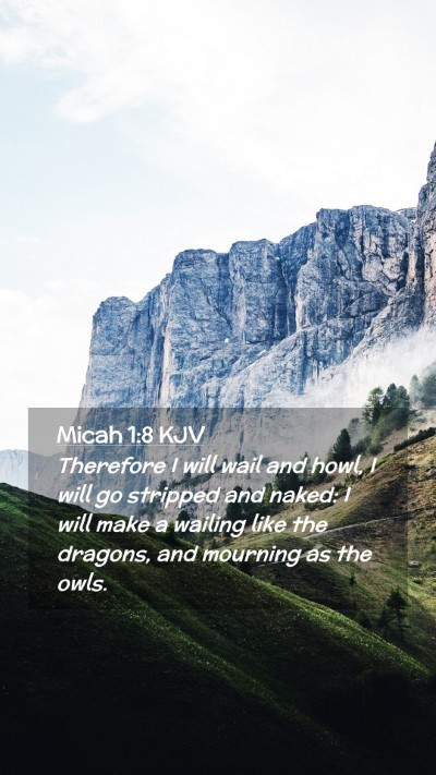 Picture 02 - Micah 1:8 KJV Mobile Phone Wallpaper - Therefore I will wail and howl, I will go - Mobile Bible Verse Wallpaper