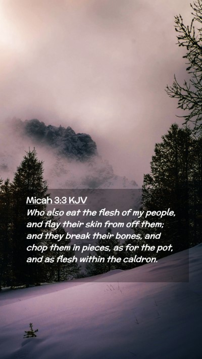 Picture 02 - Micah 3:3 KJV Mobile Phone Wallpaper - Who also eat the flesh of my people, and flay - Mobile Bible Verse Wallpaper
