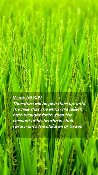 Picture 02 - Micah 5:3 KJV Mobile Phone Wallpaper - Therefore will he give them up, until the time - Mobile Bible Verse Wallpaper