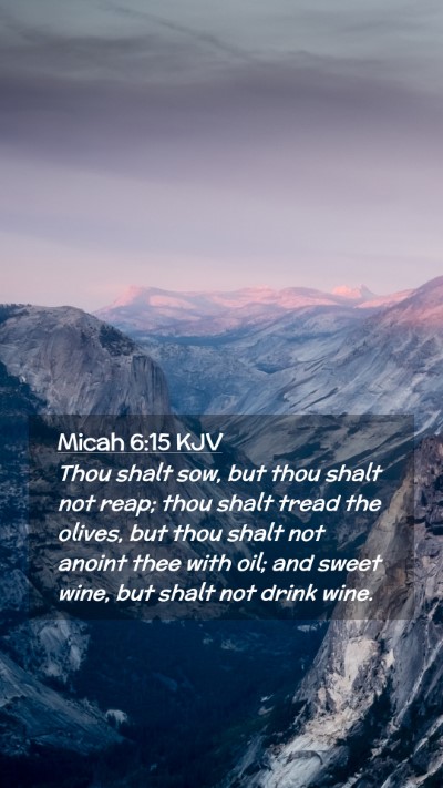 Picture 02 - Micah 6:15 KJV Mobile Phone Wallpaper - Thou shalt sow, but thou shalt not reap; thou - Mobile Bible Verse Wallpaper