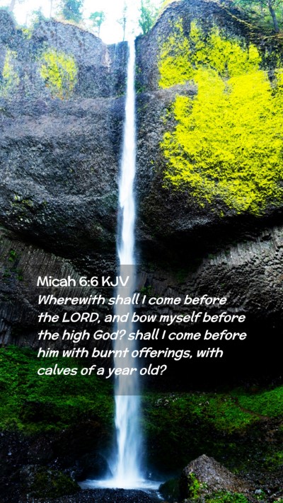 Picture 02 - Micah 6:6 KJV Mobile Phone Wallpaper - Wherewith shall I come before the LORD, and bow - Mobile Bible Verse Wallpaper