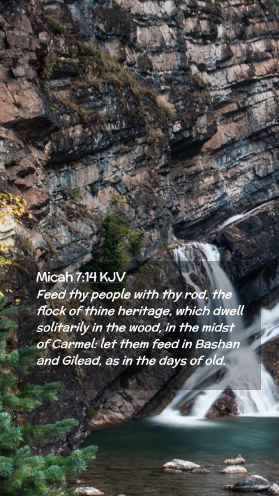 Picture 02 - Micah 7:14 KJV Mobile Phone Wallpaper - Feed thy people with thy rod, the flock of thine - Mobile Bible Verse Wallpaper