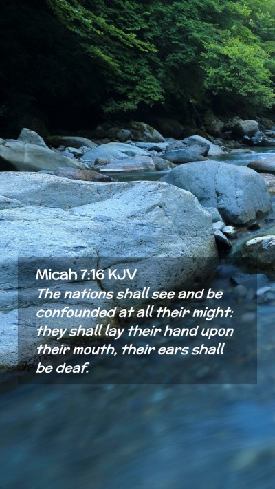 Picture 02 - Micah 7:16 KJV Mobile Phone Wallpaper - The nations shall see and be confounded at all - Mobile Bible Verse Wallpaper