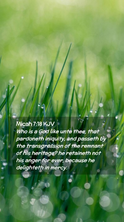 Picture 02 - Micah 7:18 KJV Mobile Phone Wallpaper - Who is a God like unto thee, that pardoneth - Mobile Bible Verse Wallpaper