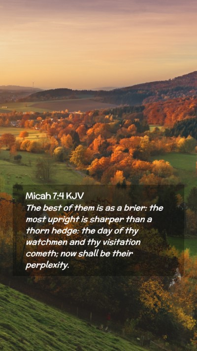 Picture 02 - Micah 7:4 KJV Mobile Phone Wallpaper - The best of them is as a brier: the most upright - Mobile Bible Verse Wallpaper