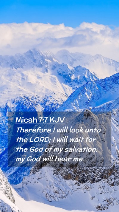 Picture 02 - Micah 7:7 KJV Mobile Phone Wallpaper - Therefore I will look unto the LORD; I will wait - Mobile Bible Verse Wallpaper