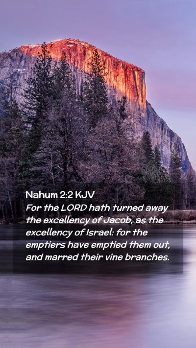 Picture 02 - Nahum 2:2 KJV Mobile Phone Wallpaper - For the LORD hath turned away the excellency of - Mobile Bible Verse Wallpaper
