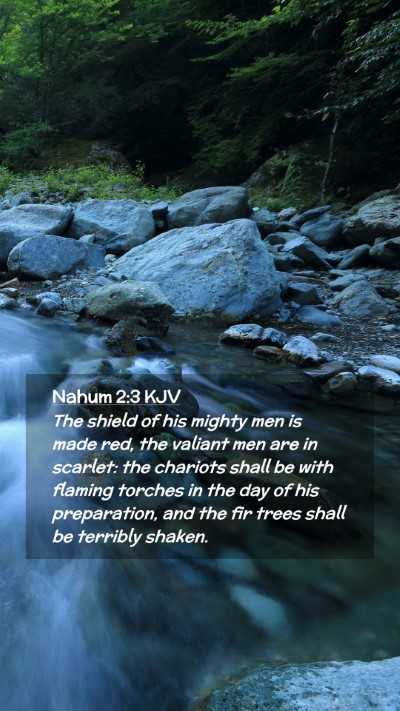 Picture 02 - Nahum 2:3 KJV Mobile Phone Wallpaper - The shield of his mighty men is made red, the - Mobile Bible Verse Wallpaper