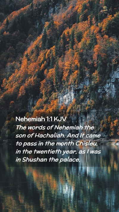 Picture 02 - Nehemiah 1:1 KJV Mobile Phone Wallpaper - The words of Nehemiah the son of Hachaliah. And - Mobile Bible Verse Wallpaper
