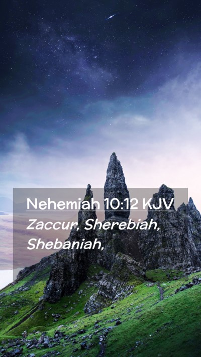 Picture 02 - Nehemiah 10:12 KJV Mobile Phone Wallpaper - Zaccur, Sherebiah, - Mobile Bible Verse Wallpaper