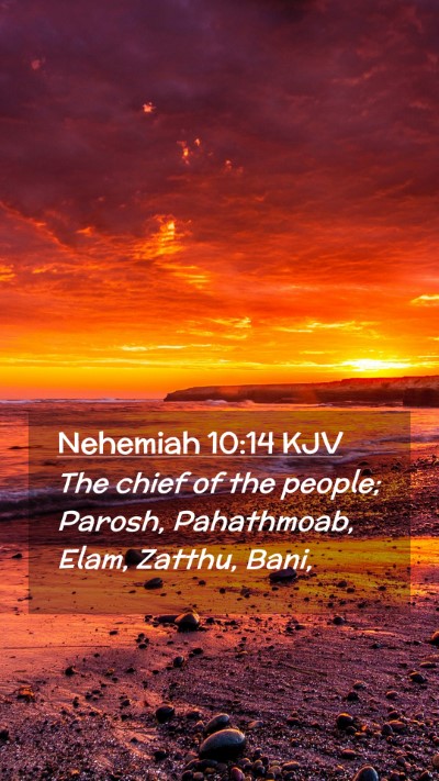 Picture 02 - Nehemiah 10:14 KJV Mobile Phone Wallpaper - The chief of the people; Parosh, Pahathmoab, - Mobile Bible Verse Wallpaper