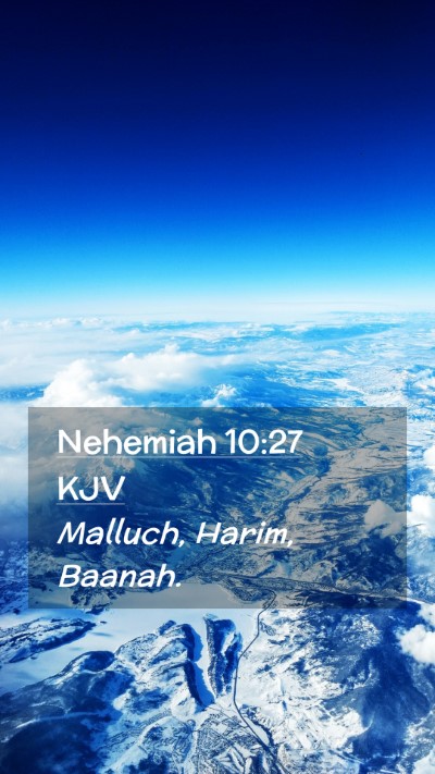 Picture 02 - Nehemiah 10:27 KJV Mobile Phone Wallpaper - Malluch, Harim, - Mobile Bible Verse Wallpaper