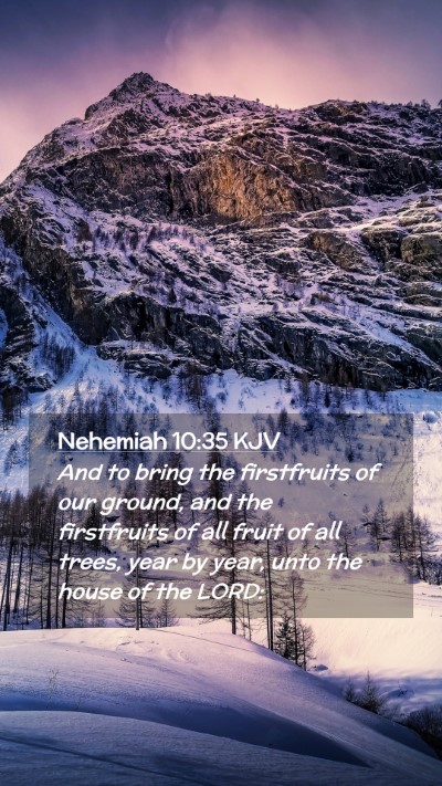 Picture 02 - Nehemiah 10:35 KJV Mobile Phone Wallpaper - And to bring the firstfruits of our ground, and - Mobile Bible Verse Wallpaper